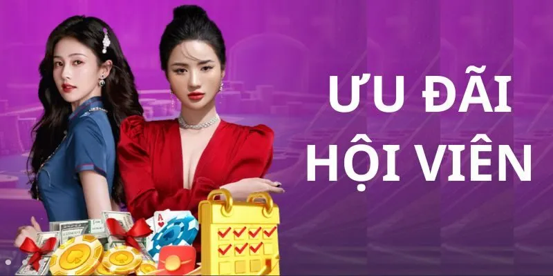 Giao diện 69VN hiện đại, tối ưu hóa trải nghiệm người dùng trên mọi thiết bị.
